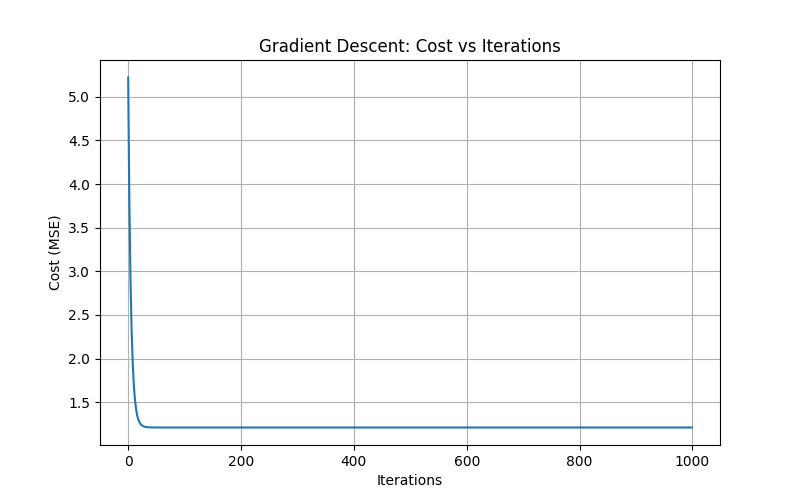 Customer Segmentation